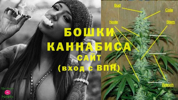 стафф Белоозёрский