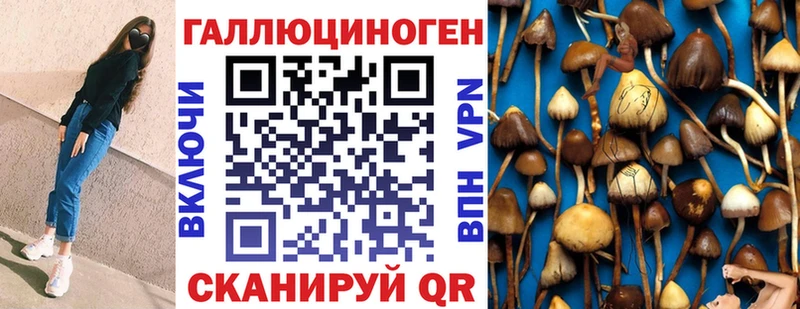 купить наркотик  Магас  Галлюциногенные грибы Psilocybe 