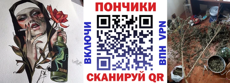 Бошки марихуана Bruce Banner  blacksprut   Магас  наркота 